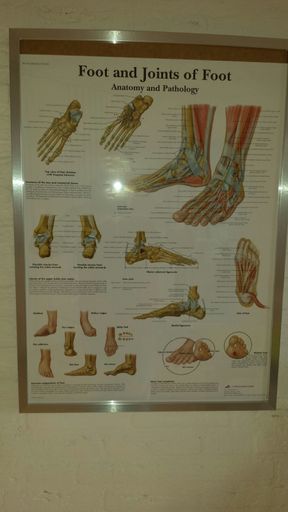 Shockwave therapie Zuid-Holland