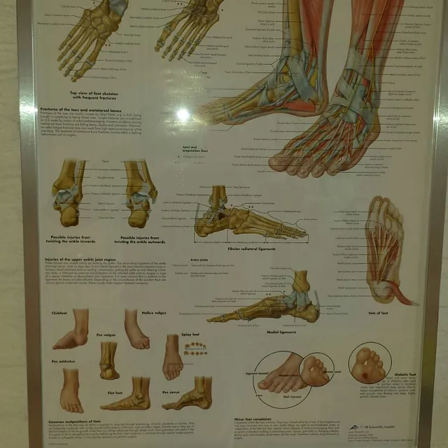 Shockwave therapie Zuid-Holland